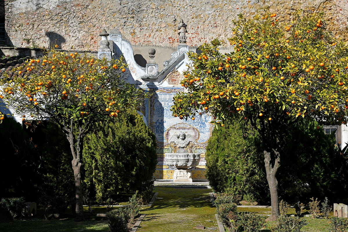 Jardim do Palácio da Independência Foto: MJNunes