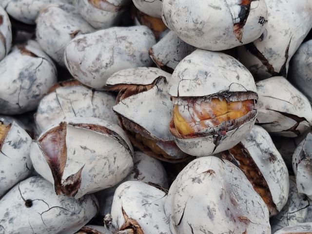 castanhas assadasjpg
