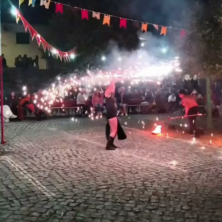 Sociedade Histórica da Independência de Portugal